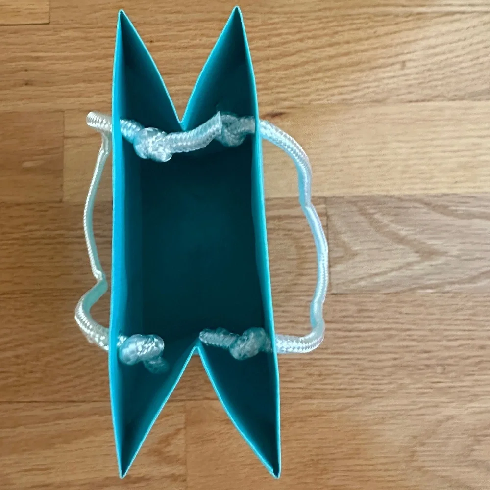 Tiffany & Co Paper Gift Bag Small 6